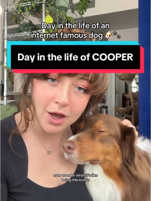 A post by @taylorcezanne on TikTok caption: Cooper has a HARD life, don’t you agree?! #dogs #newpuppy #dogtraining101 #nativepet 