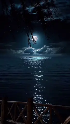 A post by @umsamira2012 on TikTok