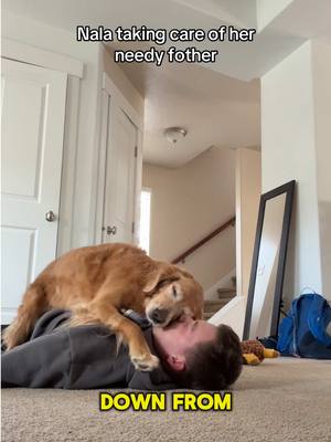 A post by @adventuringwithnala on TikTok caption: Therapy Nals to the rescue 