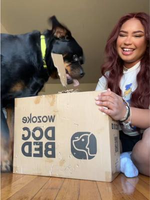 A post by @chopfromgta on TikTok caption: UNBOXING 😊🥰 #rottweiler #rottweilersoftiktok #PetsOfTikTok #rottie #rottiesoftiktok #rottierumble #rottierumble 