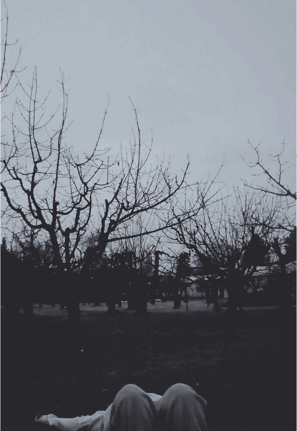 A post by @haleyeliza97 on TikTok caption: I love playing in the rain and thought this was the perfect song to pair it with! @Alex Warren 🌧️🖤 #haleshunnies #fyp #foryou #washingtonstate #pnwtok #rainyday 