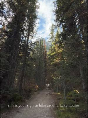 A post by @emily_holler on TikTok caption: Lake Louise 🥾🏔️🌲 this is your sign #travelvlog #traveltiktok #Vlog #beautifuldestinations #britishcolumbia #lakes #glacier #relatable #fyp #britishcolumbiatravel #hikingtiktok #hikingadventures 