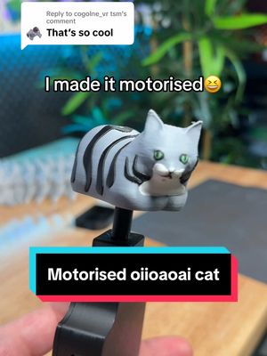 A post by @plastic3d on TikTok caption: Replying to @cogolne_vr tsm oiiaioai  cat with a motor 😂