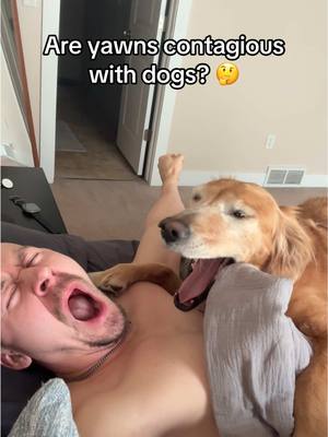 A post by @adventuringwithnala on TikTok caption: I think she got embarrassed 