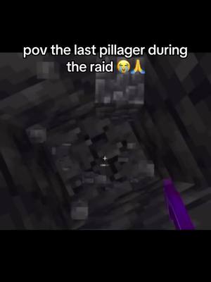 A post by @luforxxt on TikTok caption: #Minecraft #luforxxt #foryoupage #fyp #fypシ #fy #fypage 