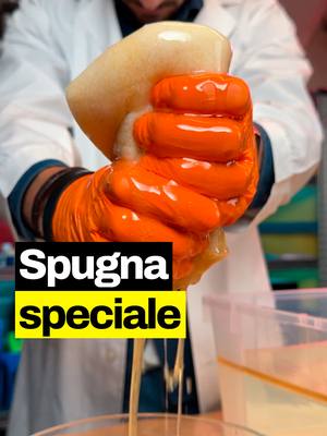 A post by @geopop on TikTok caption: Come funziona questa spugna in grado di assorbire grandi quantità di oli e idrocarburi? Ce lo spiega il DeNa #geopop #scienze #science #losapeviche #figononlosapevo #geopopit