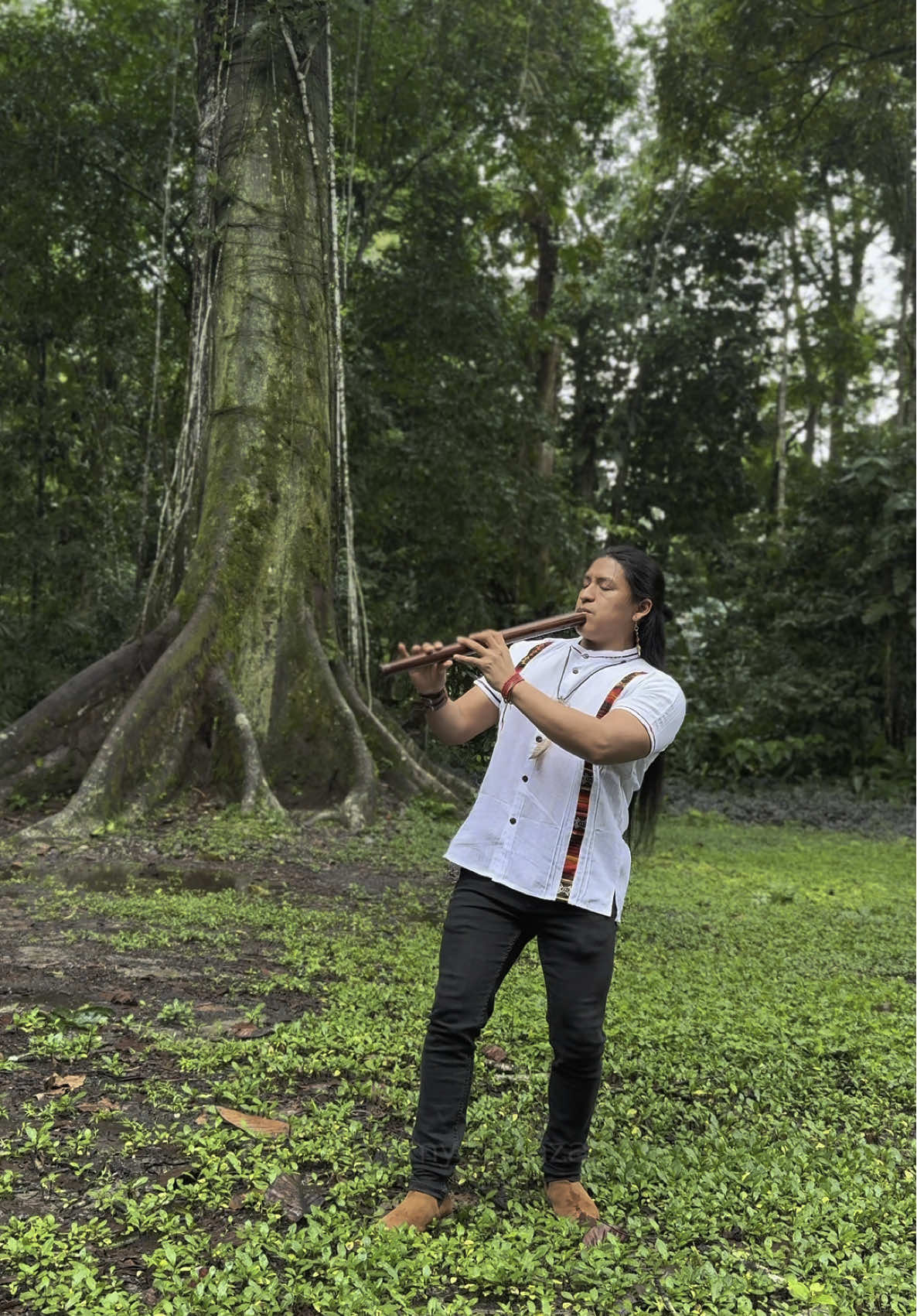 A post by @raimy_salazar_official on TikTok caption: Ray of Sunshine - Flute #LiveMusic #amazon #nature #relax #meditation #ecuador #tree #quenacho #forest