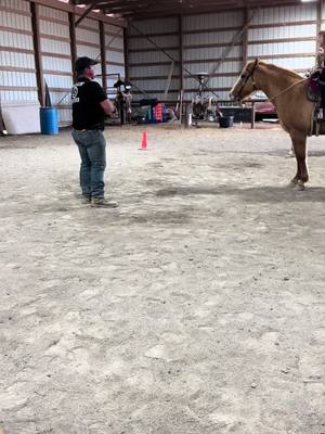 A post by @draggincircles on TikTok caption: Using the correct cues = speaking the horse’s language #ridinginstructor #ridinginstructorproblems #lessonhorses #ridinglessons 