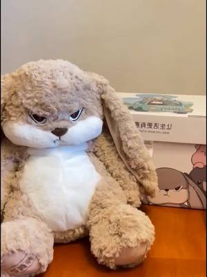 A post by @pet429 on TikTok caption: 🐇🐇🐇Pull the bunny#CapCut #Plush #Capibara 