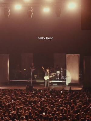 A post by @davidkushner on TikTok caption: zurich thank you 🕊️