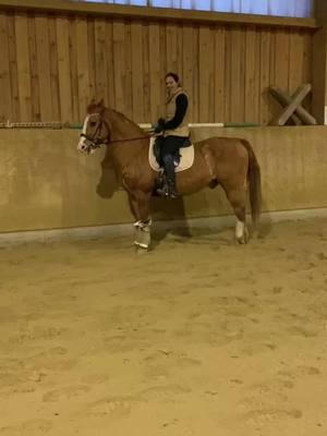 A post by @spickiee on TikTok caption: Ich könnte mir keinen besseren Partner wünschen mit dem einfach alles möglich ist 💖💖💖  #equestrian #besthorse #quarterhorse #bestbuddy #spickiee