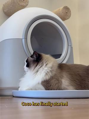 A post by @hholove_global on TikTok caption: Just Toss the Waste Occasionally—Let the Litter Box Do the Rest! #cattips #LitterBox #PetProducts #furbaby #AnimalBehavior #HHOLOVE