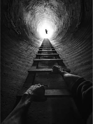 A post by @jordi.koalitic on TikTok caption: Chasing Light 👀✨ shot w @Nikon Europe #nikonz9 #photography #art 