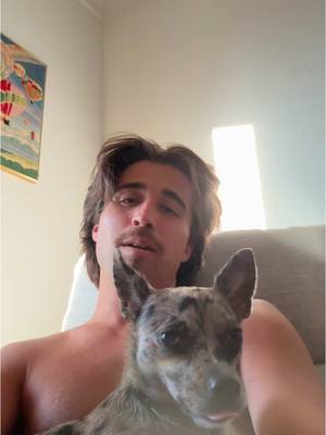 A post by @edgar on TikTok caption: 🐣🐶