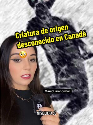 A post by @marijoparanormal on TikTok caption: “Ernesto” salió a buscar a su mascota, pero lo que vio esa noche cambió toda su vida a él y a toda la ciudad 😳💀 #toronto #canada🇨🇦 #monster #criaturasextrañas #bizarro #terror #avistamiento #extraño #inexplicable #marijoparanormal 