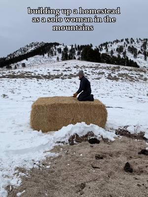 A post by @steadyrein on TikTok caption: most importantly, all the kiddos are doing good and it makes my heart real whole #montana #homestead #winter #snow #cabin 