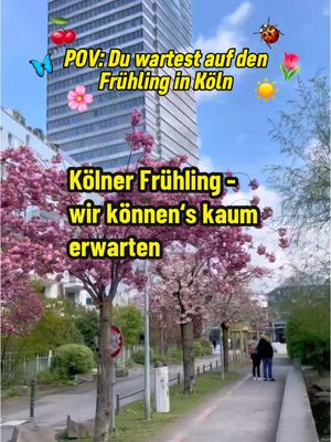 A post by @mitvergnuegenkoeln on TikTok caption: Frühling in Köln - wir können‘s kaum erwarten! Geht’s euch genauso? 🎤 Felix Lobrecht in Gemischtes Hack #köln #cologne #frühling #felixlobrecht #gemischteshack 