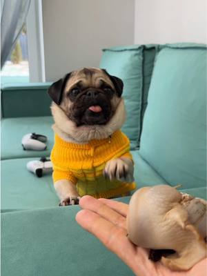 A post by @hoootdogs on TikTok caption: А ты как к улиткам?🐌пена BRANDFREE 🫧wb: 269153142 ozon: 1740810271✨