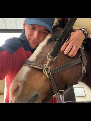 A post by @evans_world on TikTok caption: This is me, a horse groom. So you want to be a horse groom? This is a look at my life with horses as a full time horse groom. This is on a regular riding day. These are short clips I was able to film showing you “this is me…” doing things like feeding grain, cleaning horse stalls, grooming horses, tacking up, cleaning bridles, turning out horses, dumping the muck wheelbarrow, exercising horses on a eurocisor, and much more! I hope you had fun with this video! If there are certain parts of my day as a horse groom or certain things you want to see more of or have a tutorial on, let me know! I appreciate you all! -Evan #H#Horsesandhumorh#horseequestrian