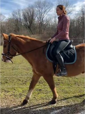 A post by @spickiee on TikTok caption: Das Beste was mir passieren konnte war dich zu finden 💖💖💖 #equestrian #bestbuddy #besthorse #spickiee #fy 