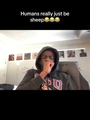 A post by @user1283146447422 on TikTok caption: #yaptop 
