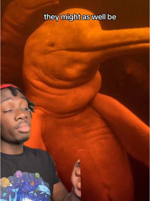 A post by @mndiaye_97 on TikTok caption: Dolphins really not trying to fight the allegations #nature#animals#moreyouknow 