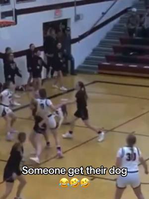 A post by @overtimewbb on TikTok caption: Sub the dog in tbh 😤 (via DevinAlbertson/x)