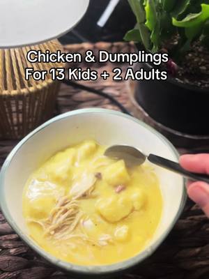 A post by @mom2manygreens on TikTok caption: Chicken & Dumplings for the win tonight. #chickenanddumplings #s#soupseriesf#fallrecipess#soupseason  ##DinnerIdeas#souprecipes #fallcookings#souptokh#hello falls#soupseasonisuponusd#Dinnerlde asc#chickenanddumplingsc#chickenndumplings #cheddarbaybiscuitsc#cheddarbay#redlobsterr#redlobstercheddarbiscuits 