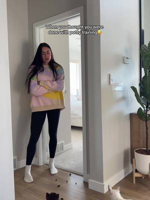 A post by @thestadlerfam on TikTok caption: How long did it take your dog to have no more accidents in the house??😅 Asking for a friend 