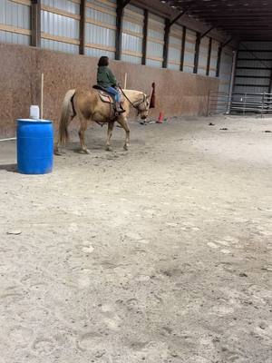 A post by @draggincircles on TikTok caption: A little flag work in the barn tonight #ridinginstructor #ridinginstructorproblems #lessonhorses #ridinglessons 