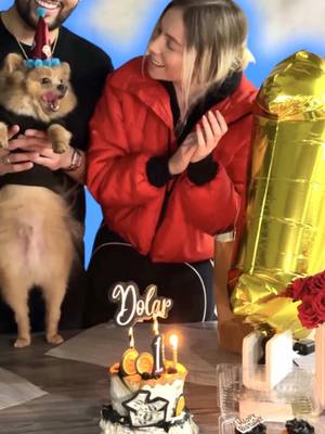 A post by @kristennmedinaa on TikTok caption: Así fue el primer cumpleaños de mi Perrhijo  #fyp #kristennmedina #perrotok #dogtok #cumpledolar #cumpleanos 