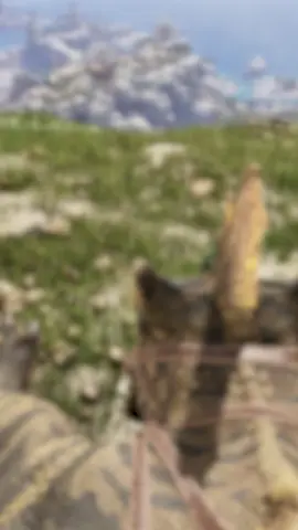 A post by @rafitasedivierte on TikTok caption: CURIOSIDADES de ARK que QUIZÁS NO CONOCÍAS 22 #ark#arksurvivalevolved #fypシ゚ #arkascended #ARK #funny #arkclips #arksurvivalascended #ark