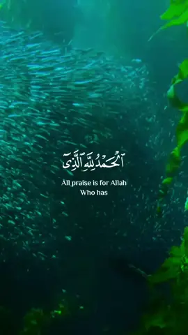 A post by @recite_quran_ on TikTok caption: #Quran #Allah #quran_alkarim #foryou 