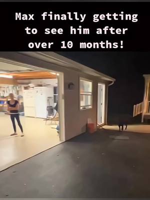 A post by @funny.pets____ on TikTok caption: Welcome home soldier ❤🥰  #pet #cat #dog #cute #animals #foryou #typ