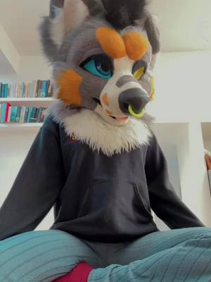 A post by @matcha_mayhem_ on TikTok caption: Absolutely love this song 😤 ignore the bad dancing and dance with me 🕺🏻🕺🏻#fyp #furry #uk #adult #fursuit #redpanda #colliedog #australianshepherd 