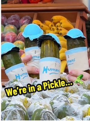 A post by @disneyparks on TikTok caption: So motivational 🥹 So pickley 🥒 #DisneyParks #DisneyPlus #Pixar #WinOrLose #Pickles 