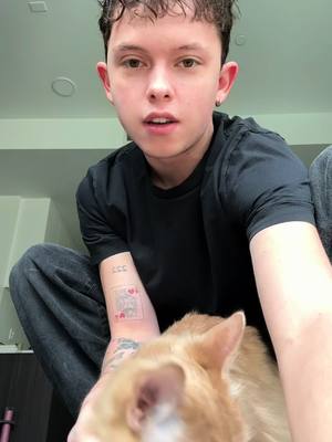 A post by @jacobsartorius on TikTok caption: Good morning #catdad 