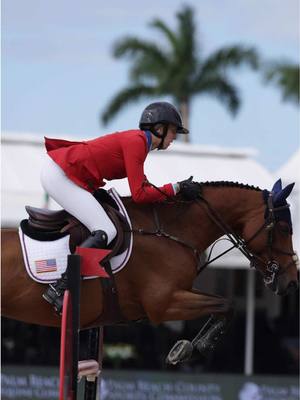 A post by @usequestrian on TikTok caption: Acota M is not lacking in the carrot department! 🥕  #USAJumping #NationsCup #Groom #Wellington #USEquestrian #treats 