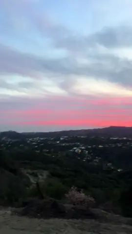 A post by @willuzi on TikTok caption: Oh how I’ve missed you 