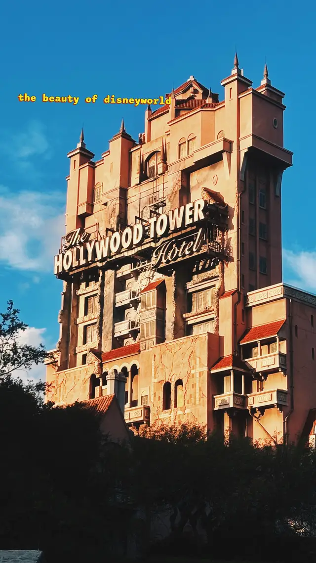 A post by @caitireadsbooks on TikTok caption: #disneyworld #fyp 