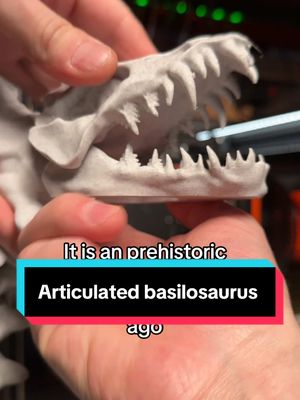 A post by @plastic3d on TikTok caption: I designed a 3d printable skeletal Basilosaurus 🐋☠️ What design would you like to see next?