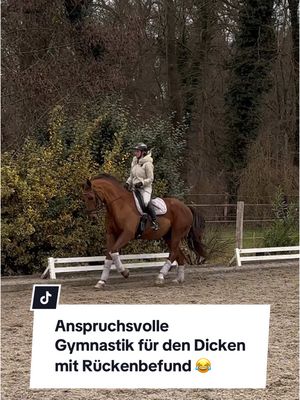 A post by @franziundfleur on TikTok caption: Schritt, Trab, Galopp außenrum oder auf dem Zirkel reiten hat für mich nichts mit Gymnastik zu tun. Ich habe in den letzten Jahren gelernt wie unfassbar wichtig es ist, mein Pferd richtig zu arbeiten. Lieber kurz und effizient, als 1 Stunde im Kreis. Dank Franz durfte ich so unglaublich viel lernen und wir sind extrem zusammengewachsen. Wer weiß, die Turniersaison startet bald wieder… 😂 IG: franziskaelea  #pferd #dressurpferd #dressurreiter #pferdgymnastizieren #dressur #pferdeliebe #reitsport #franziundfleur #franziskaelea 