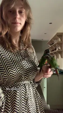 A post by @itsyournoa on TikTok caption: My pookies (sometimes I wanna throw them across the room🥰)#birds #meandme #hyunjinstan #byebye 