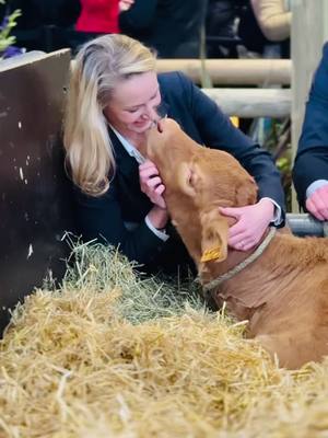 A post by @marion_marechal on TikTok caption: 🐮Séance papouilles de bienvenue avec la vache égérie Oupette et son petit Vienne au Salon de l’agriculture.