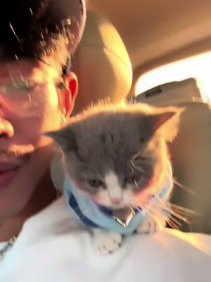 A post by @vannda19000 on TikTok caption: to le to le