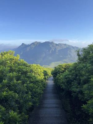 A post by @juleko_o on TikTok caption: 中国的山景 #china #fyp 