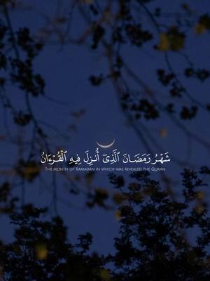 A post by @abo.3aid on TikTok caption: غدًا اول ايام رمضان ، اسال الله تعالى ان يجعله شهر خير ومبارك علينا وعليكم جميعًا || شهر رمضان اللذي انزل فيه القران || #قران #quran #رمضان 