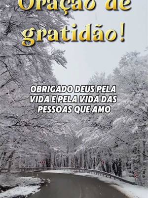 A post by @yarinhajp13 on TikTok caption: Gratidão 🙌🏻🙏 #oração #gratidão #fé #bençãos #gratidaoadeus #reflexaododia #benção #proteção 