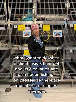 A post by @dr.b_veterinarian on TikTok caption: Owner compliance is a real struggle for us in veterinary medicine. #veterinarian #petcare #dog #cat #LearnOnTikTok #fyp