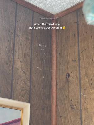 A post by @toniscleaningco on TikTok